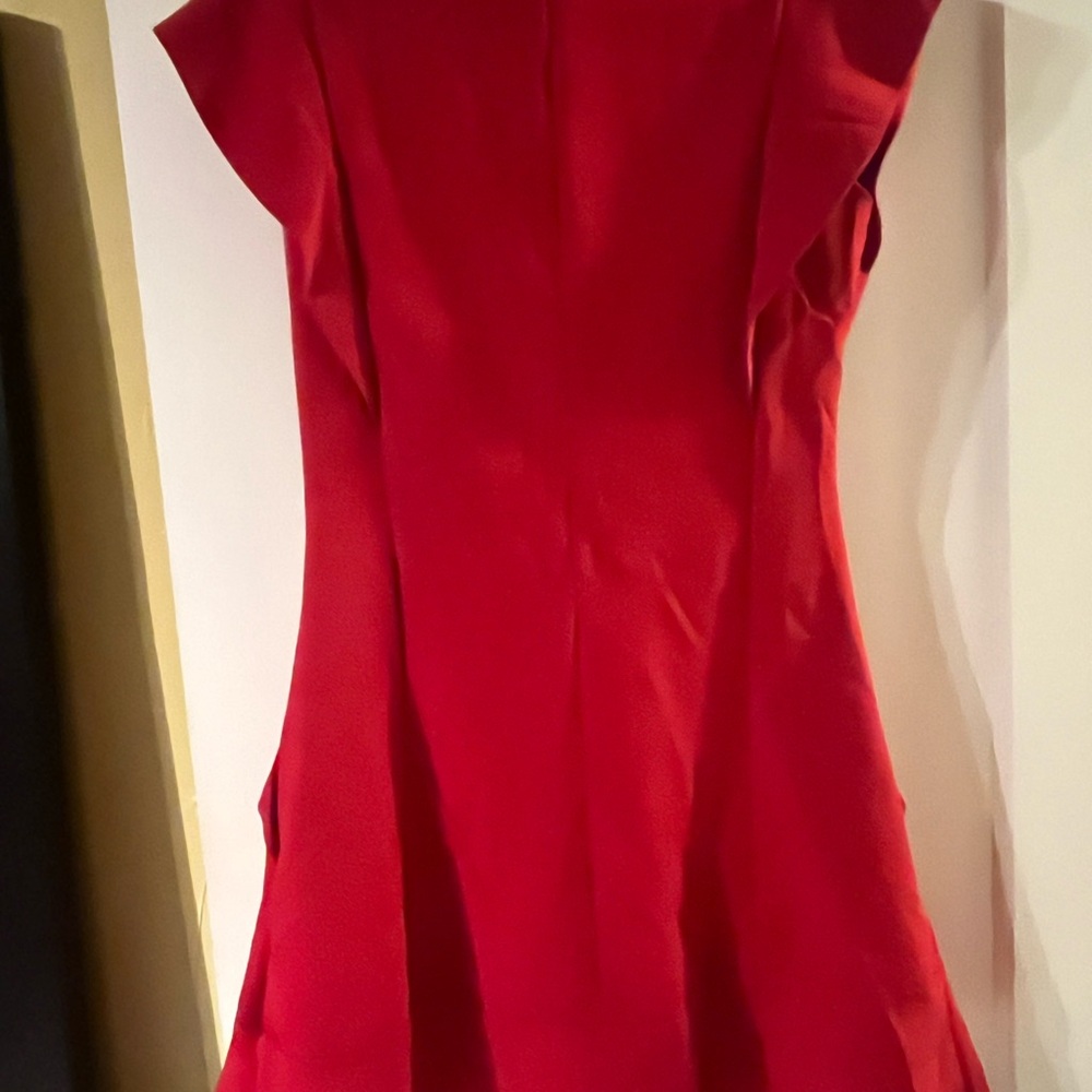 Chic Red Mini Dress - Picture 4 of 4